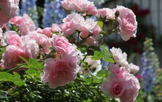 IMG_0626_korr