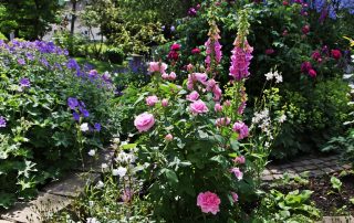 IMG_0663_korr
