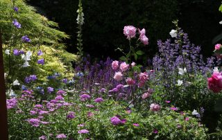 IMG_0676